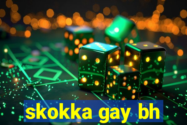 skokka gay bh